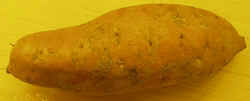 Sweet Potatoes1007.JPG (23094 bytes)