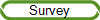 Survey